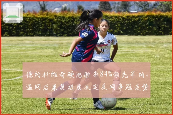 德约科维奇硬地胜率84%领先辛纳,温网后康复进度决定美网争冠走势